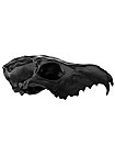 3D-Druck Fuchsschädel zum Selbstbemalen (16 cm)